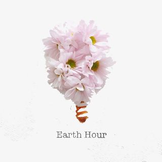 一束白色小花免抠