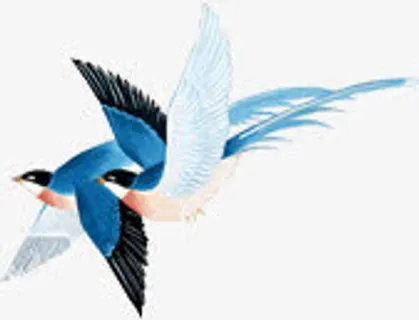 手绘蓝色喜鹊七夕情人节免抠