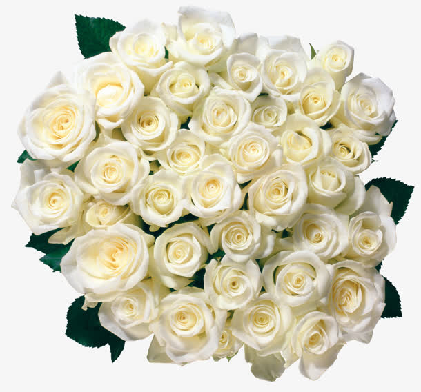 白玫瑰鲜花花束免抠