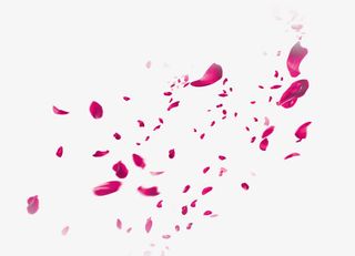 梦幻红色花瓣免抠