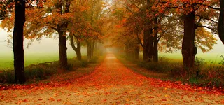 田间小路淘宝海报背景banner高清