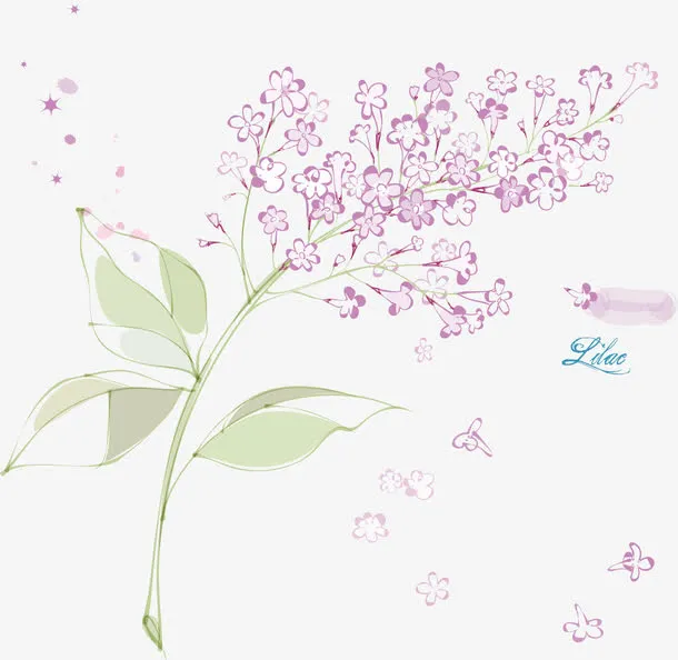 紫色手绘花卉免抠