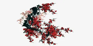 中国风红色梅花免抠
