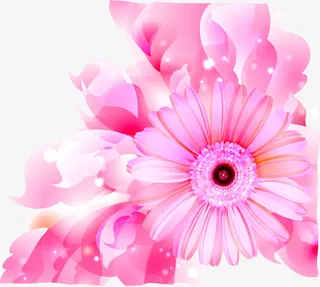 粉色梦幻春天精美花太阳花免抠