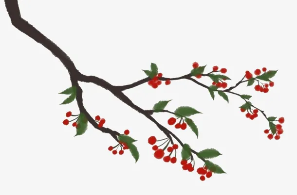 中国风水墨 樱桃免抠