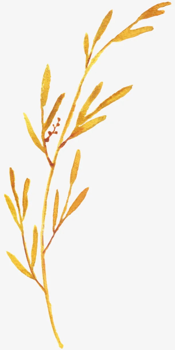 黄色树枝免抠