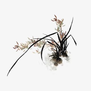 中国风国画水墨花草免抠