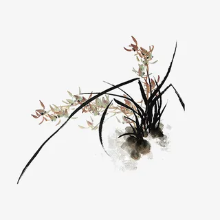 中国风国画水墨花草免抠