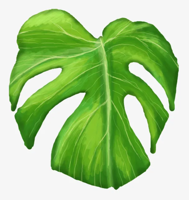 花草图案素材水彩花草免抠