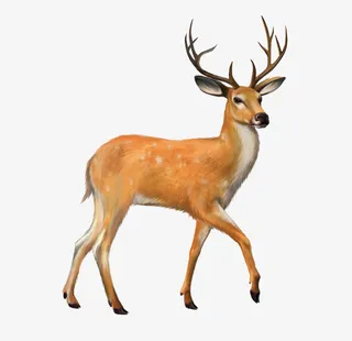 国风立体小鹿免抠