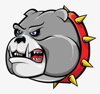 戴项圈的烈狗免抠