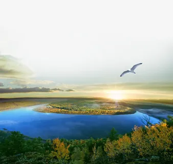 魅力生态河湾免抠