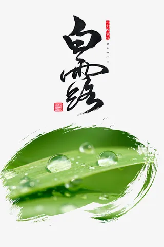白露节气 白露 字体 印章免抠