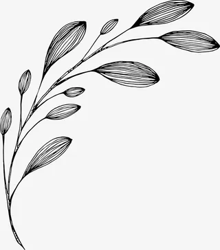 素色线描叶子免抠