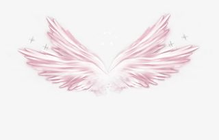 翅膀免抠