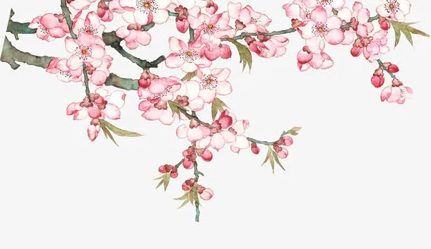 水彩绘桃花盛开桃树免抠