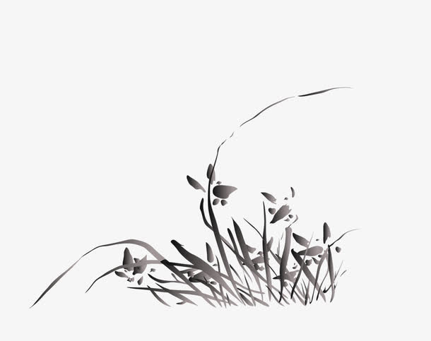 兰花免抠