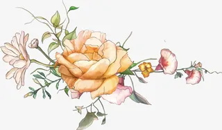 手绘牡丹花PNG免抠