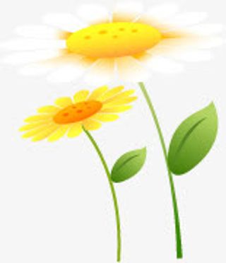 春天卡通黄色花朵植物免抠