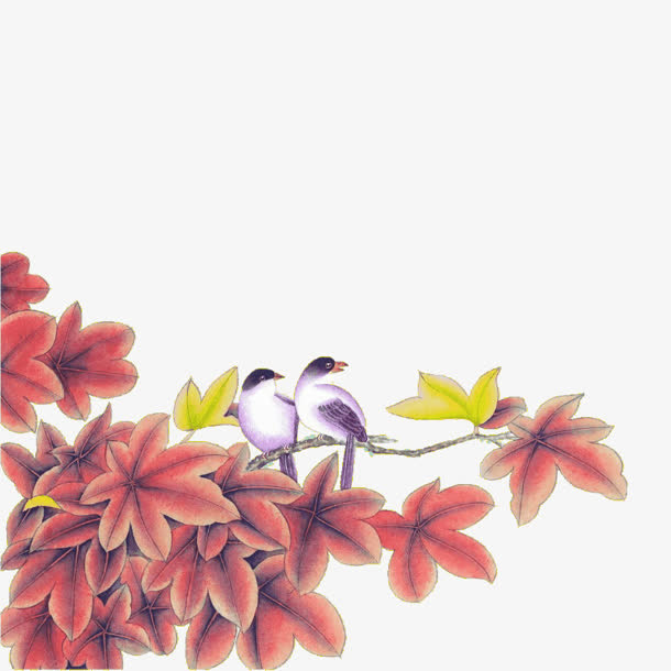 古风绿叶白鸟免抠