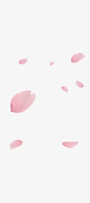 漂浮花瓣免抠