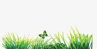 高清绿草地1免抠