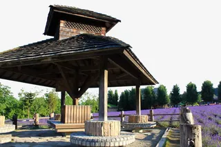 富田农场风光免抠