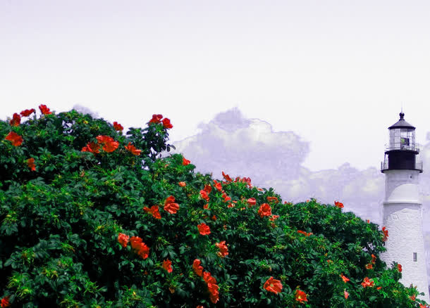 绿色植物鲜花背景