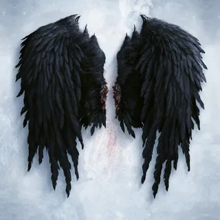 黑色恶魔羽翼海报背景