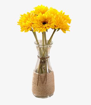 黄色花朵的植物装饰免抠