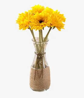 黄色花朵的植物装饰免抠 黄色花朵的植物装饰免抠