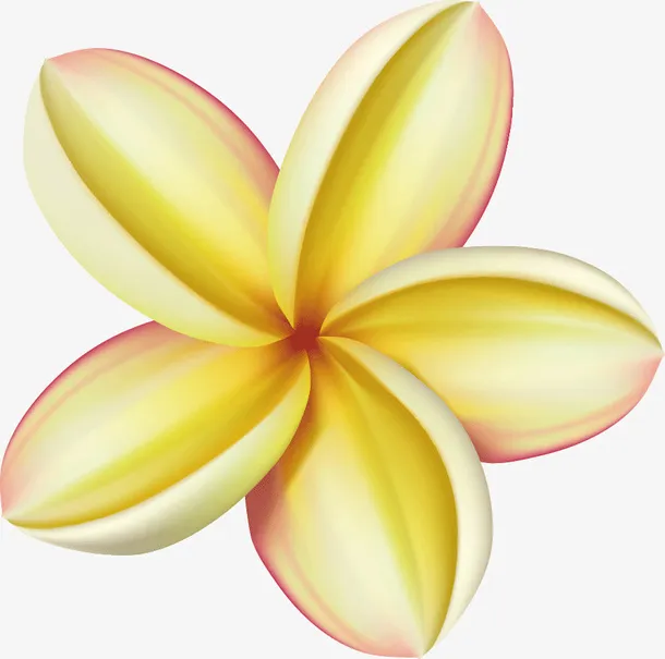 立体质感芬芳花瓣花朵免抠