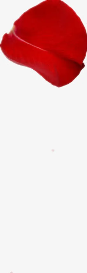 火红玫瑰花瓣免抠