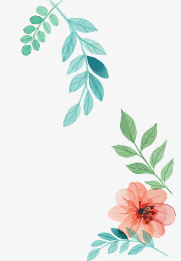 美术花草免抠