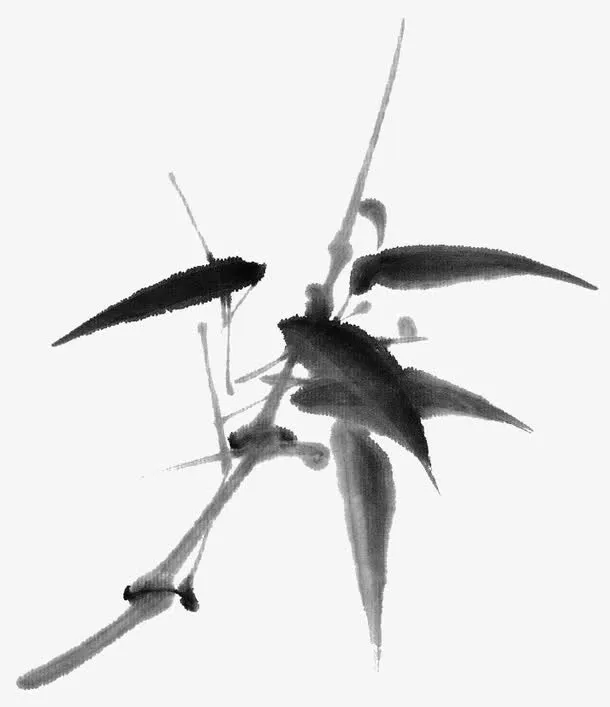 手绘的竹子免抠