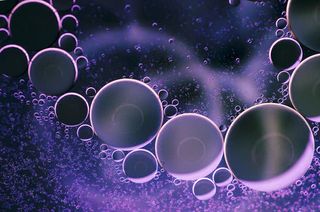 紫色的圆点免抠