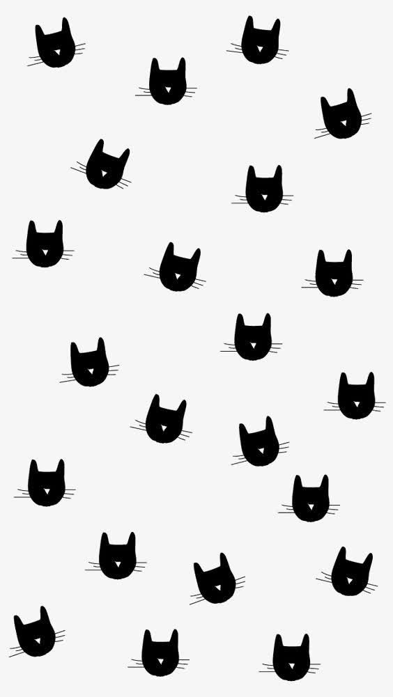 猫咪背景