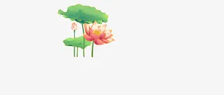 荷花荷叶手绘荷花装饰元素免抠