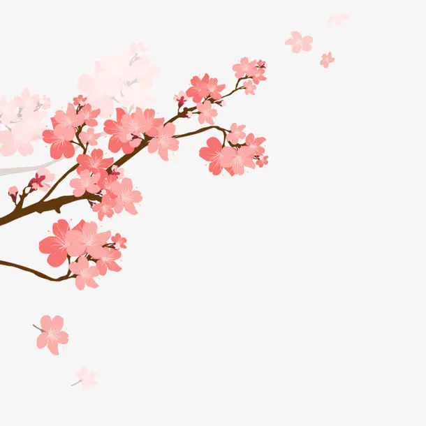 美丽的粉色梅花免抠