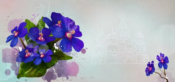紫色花朵背景