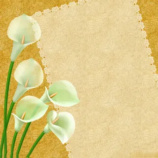 梦幻花纹边框背景素材高清