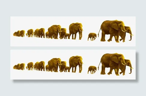 漂浮花瓣气泡简洁大方免抠