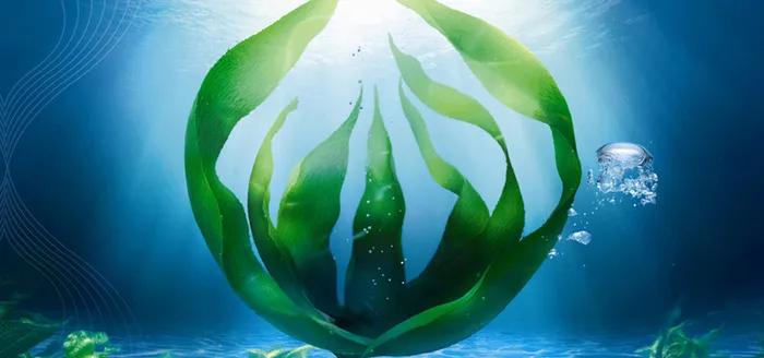 水草背景图高清