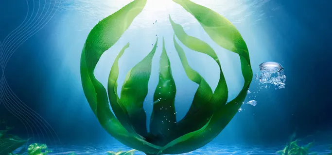 水草背景图高清