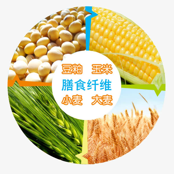 散养鸡饲料信息免抠