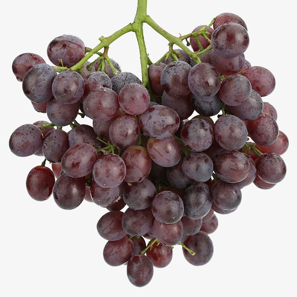 一串玫瑰香免抠