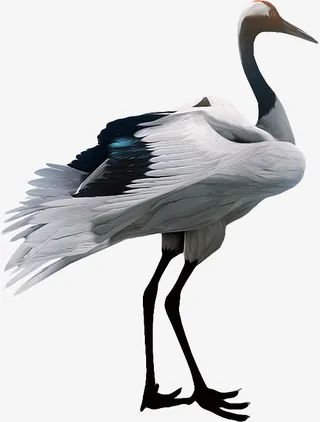 中国风仙鹤手绘免抠