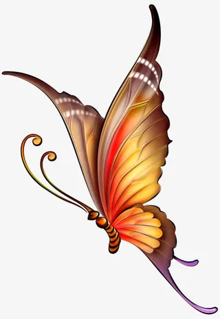 花蝴蝶蝴蝶png 手绘蝴蝶 卡免抠