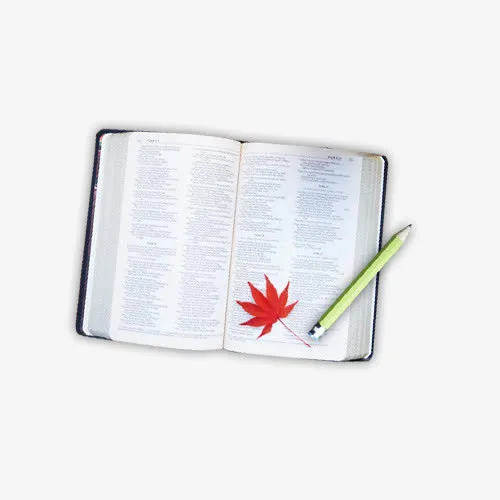 白色现代文具用品免抠