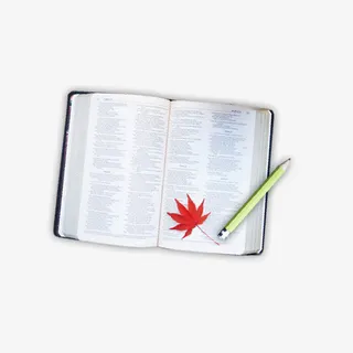 白色现代文具用品免抠